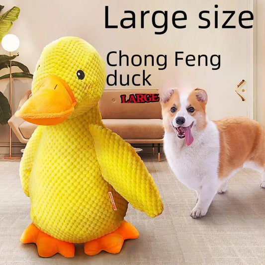 Sd0c5a6a4ae664b05a05b96c526a32929a