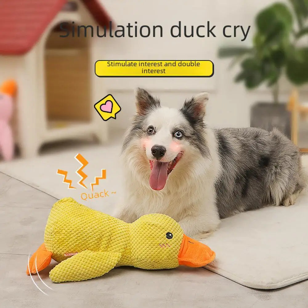 Sd2b1241607494f99b67e7465f22da6cfU
